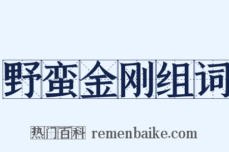 野蛮金刚组词是什么意思的图片
